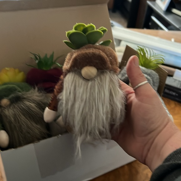 Box of a dozen garden gnomes with faux succulents - Picture 2 of 2